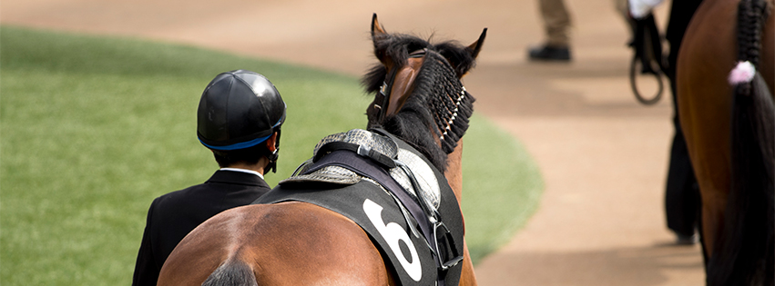 競走馬パドックのFacebookカバー