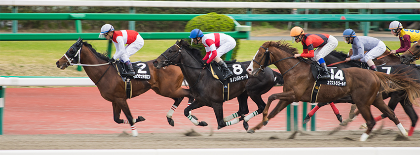 競馬のFacebookカバー