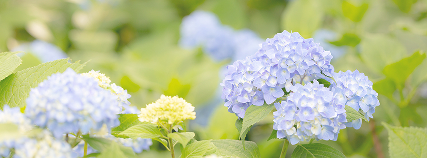 フェイスブック無料背景カバー Fbcover フェイスブック無料背景カバー Fbcover